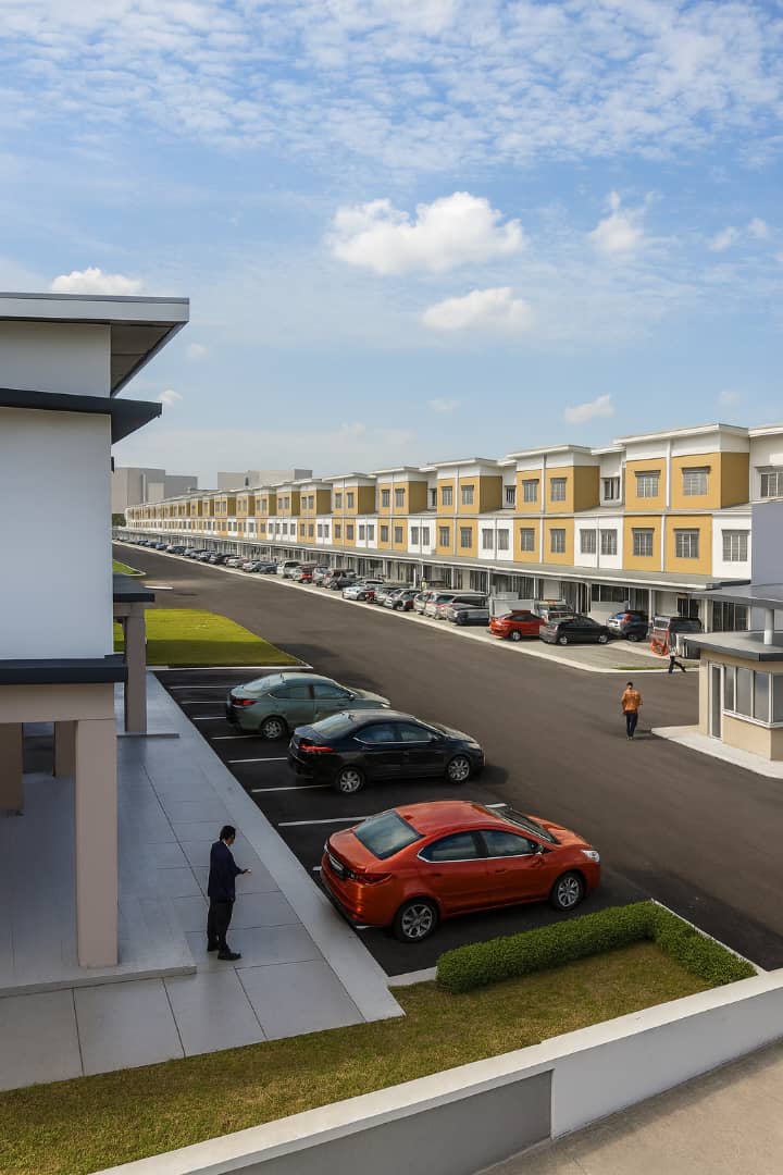 Gambar 15 Seraya Shorea Puchong
