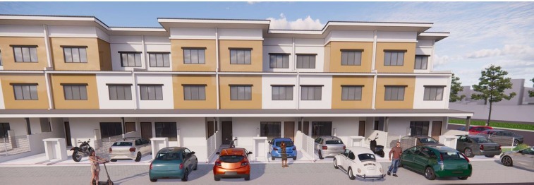Gambar 6 Seraya Shorea Puchong