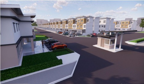 Gambar 9 Seraya Shorea Puchong